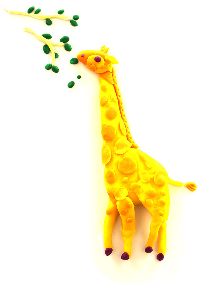 evolution_giraffe