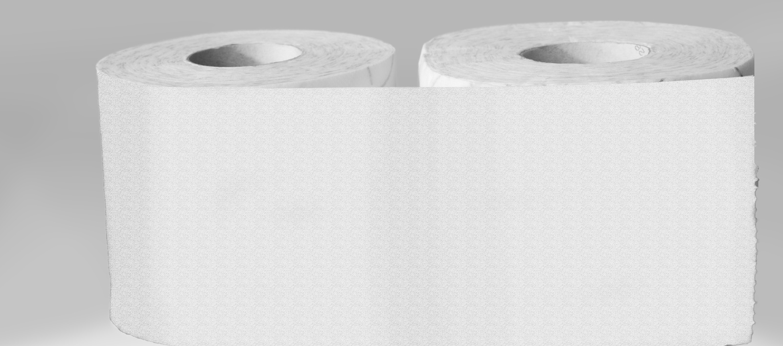 Toilet paper rolls